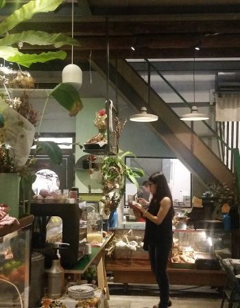 Flowers in the Window