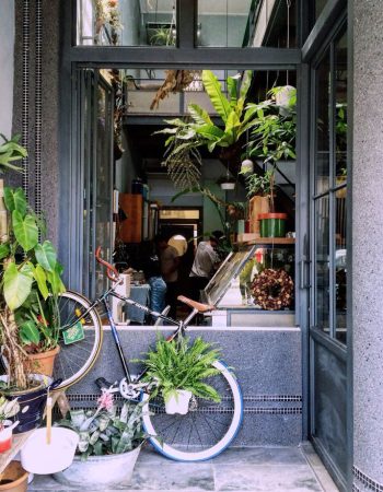 Flowers in the Window
