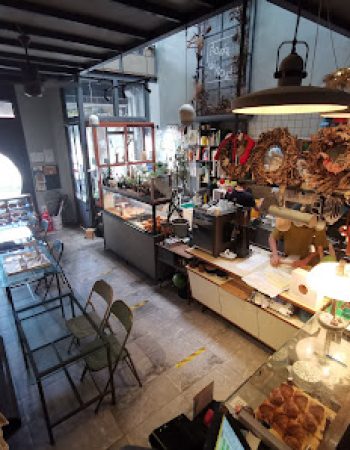 Flowers in the Window