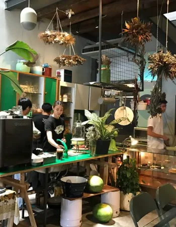 Flowers in the Window