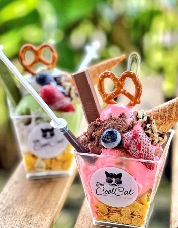 The Cool Cat Ice Cream