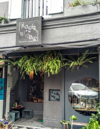 Flowers in the Window