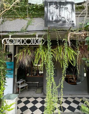 Flowers in the Window