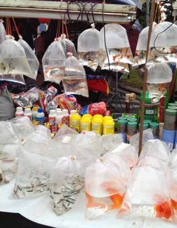 Taman Ungku Tun Aminah Night Market