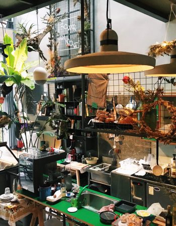 Flowers in the Window