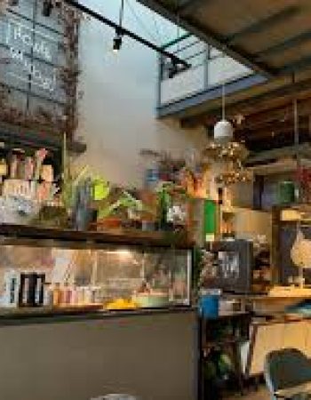 Flowers in the Window