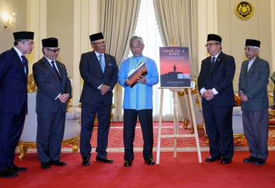 agong-has-been-prudent,-deliberate-in-making-decisions-during-reign,-says-legal-advisor