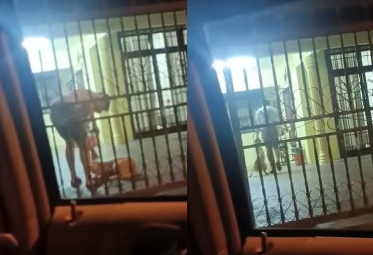 polis-siasat-lelaki-rotan-anjing-peliharaan