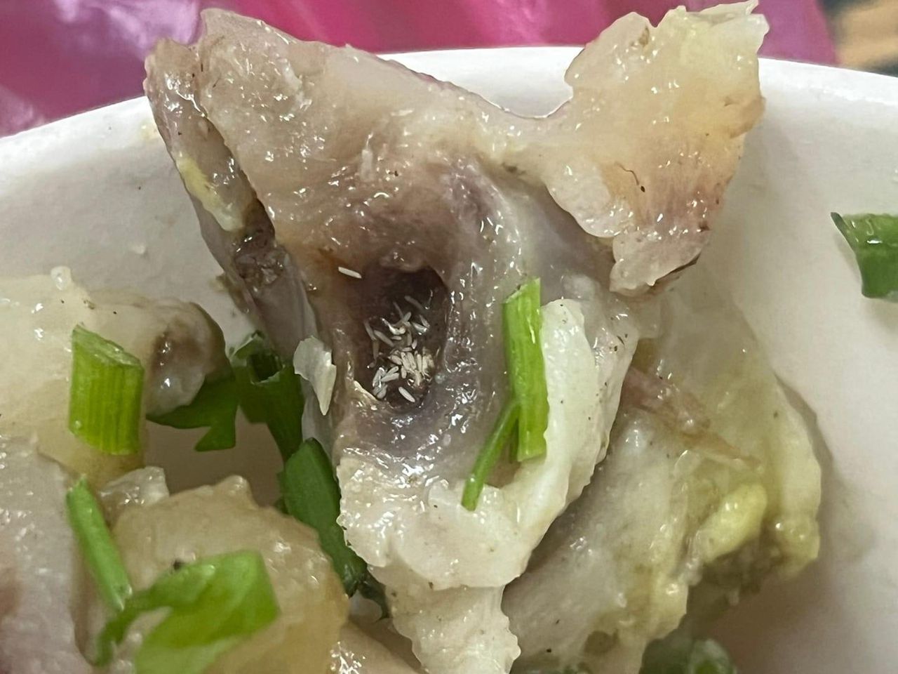pengunjung-bazar-dipaksa-beli-sup-daging,-terkejut-ada-telur-lalat
