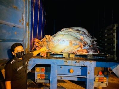 johor-authorities-foil-attempt-to-smuggle-pig-carcasses-worth-rm600,000-via-second-link-crossing