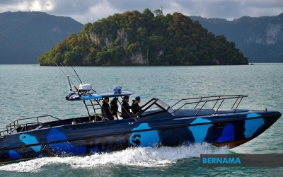 marine-police-bust-crayfish-larvae-smuggling-operation-off-johor,-seize-rm3.31m-haul