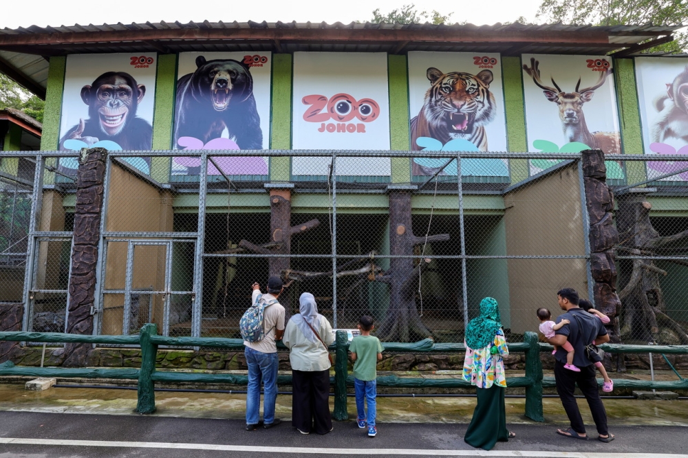 official:-johor-zoo-to-launch-night-safari-before-year-is-out