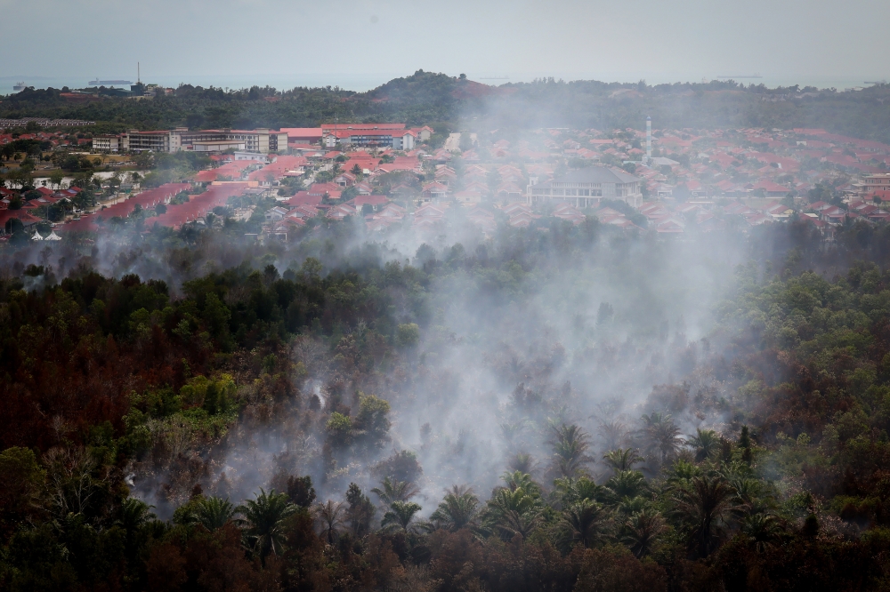 smoke-clears-after-johor’s-peatland-fire-as-api-returns-to-normal-and-families-head-home